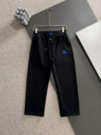 Picture of Burberry Long Pants _SKUBurberryS-XLxetr4414321